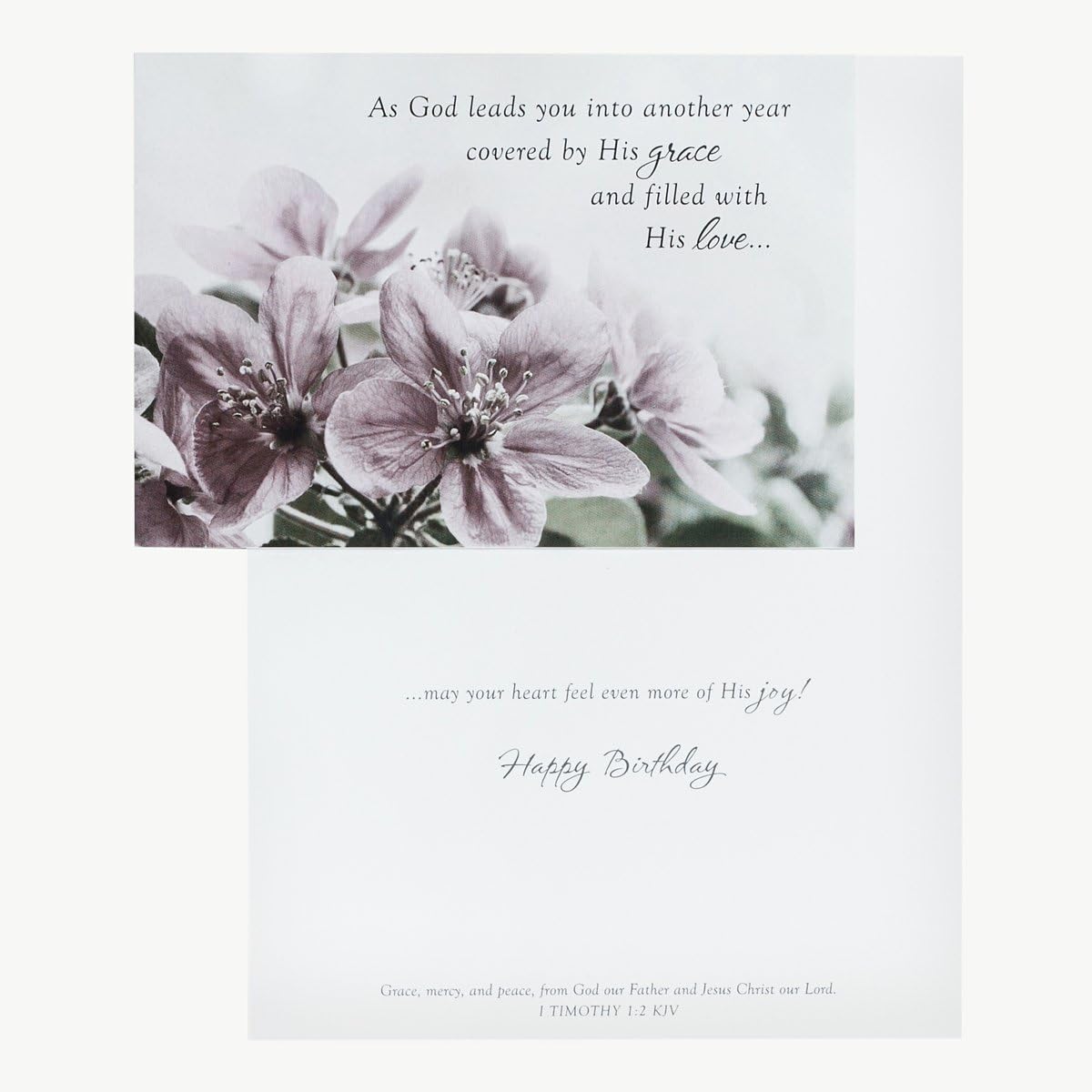 Get Special Price DaySpring Birthday - Inspirational Boxed Cards - Touch of Color - 37363 Best Deal DaySpring Birthday - Inspirational Boxed Cards - Touch of Color - 37363