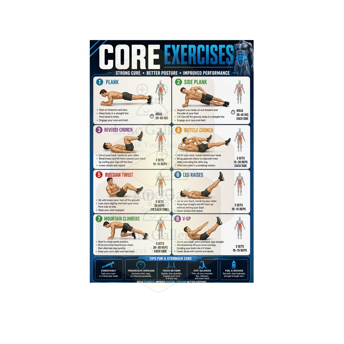 Core Exercises Poster for Gym ,Yoga, & Home Workout | 8 Essential Ab & Core Strength Exercises Poster | Physiotherapy Wall Decor | Self adhesive 48 Cm X 33 Cm Waterproof, Oilproof-image-6