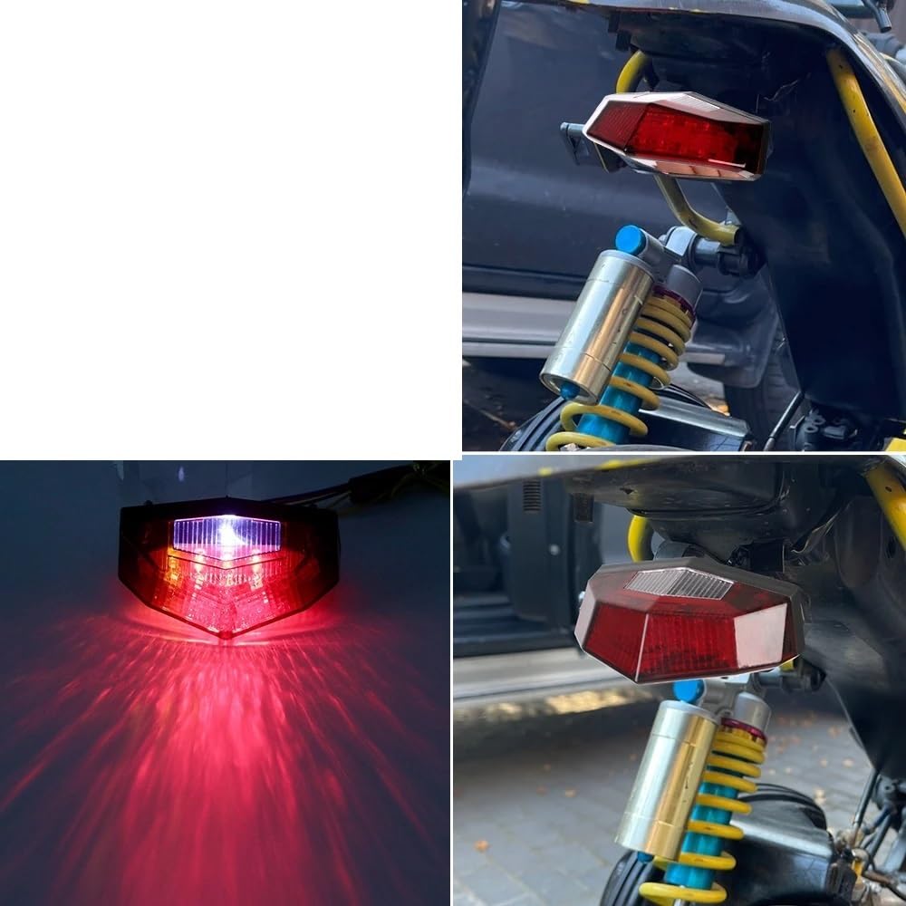 Faro Posteriore Stop Running 11 LED Fanale posteriore per motocicletta Luce di stop universale Indicatore direzione per Fanali posteriori Accessori per moto