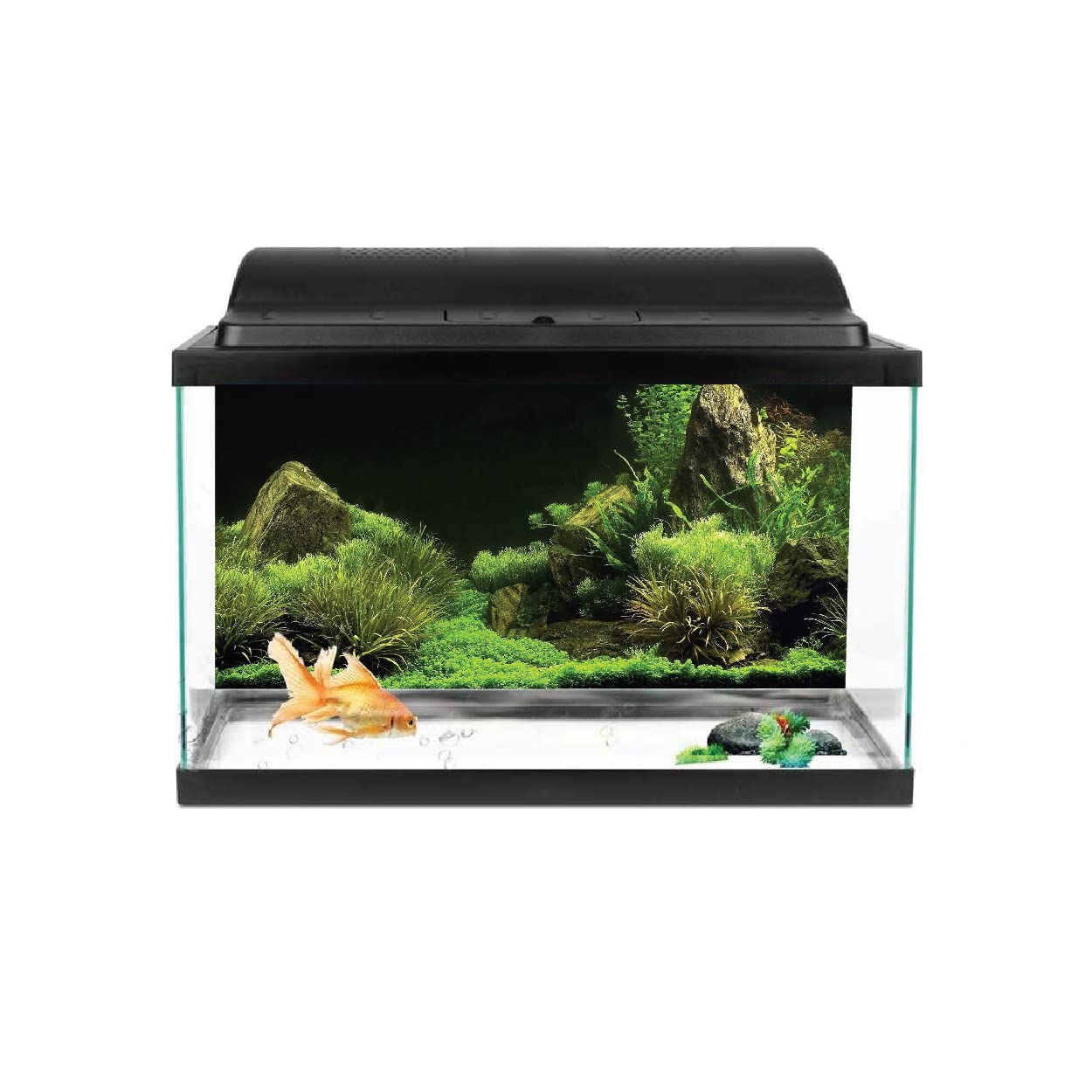 VVWV® Green Plant Aquarium Background Stickers for Fish Tank Vinyl Printed Multicolored Sticker (61 x 30 CMS) (B0BWFGF45C) Amazon Price History, Amazon Price Tracker
