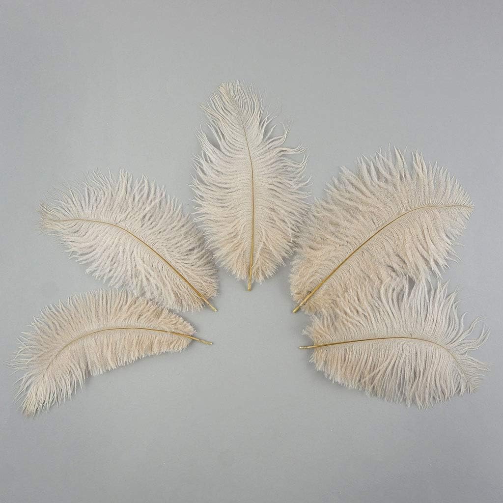 Zucker 12pc Ostrich Feather Craft Supplies - 4-8 inch (10-20 cm) Natural Colorful DIY Wedding Home Decor - Beige