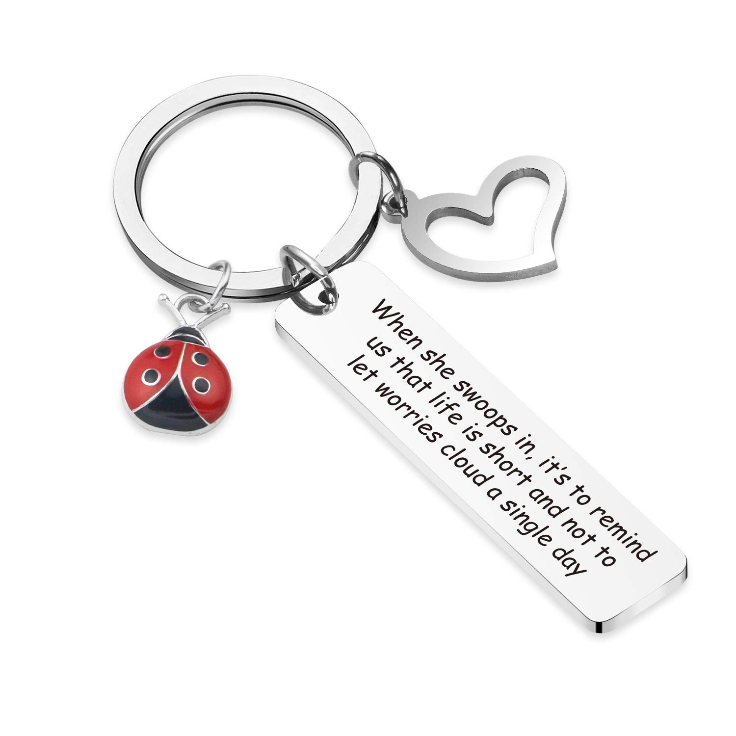 BOSATE Good Luck Ladybug Keychain - Cute Insect Lover Gift for Her, Beetle Ladybug Friendship Gift