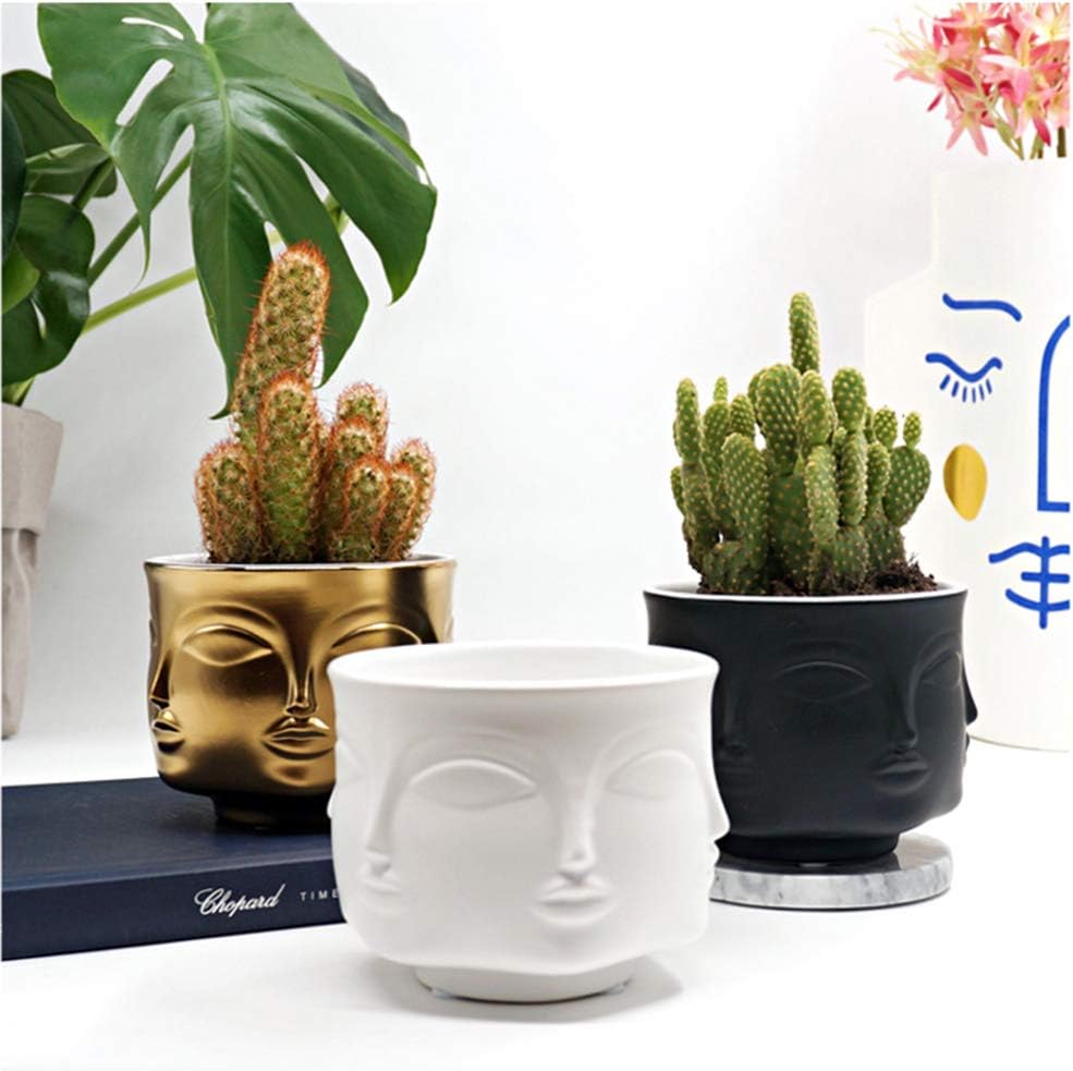 ANEWNICE 4 inch White Ceramic Succulent Cactus Pots Vase, Item Holder,Cute Face Head Planter for Decor Flower, White