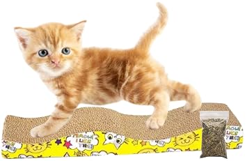 Petlicious & More Cat Scratching Cardboard Scratcher (21cm X 45cm X 4cm) Curve Scratcher (Pack of One)