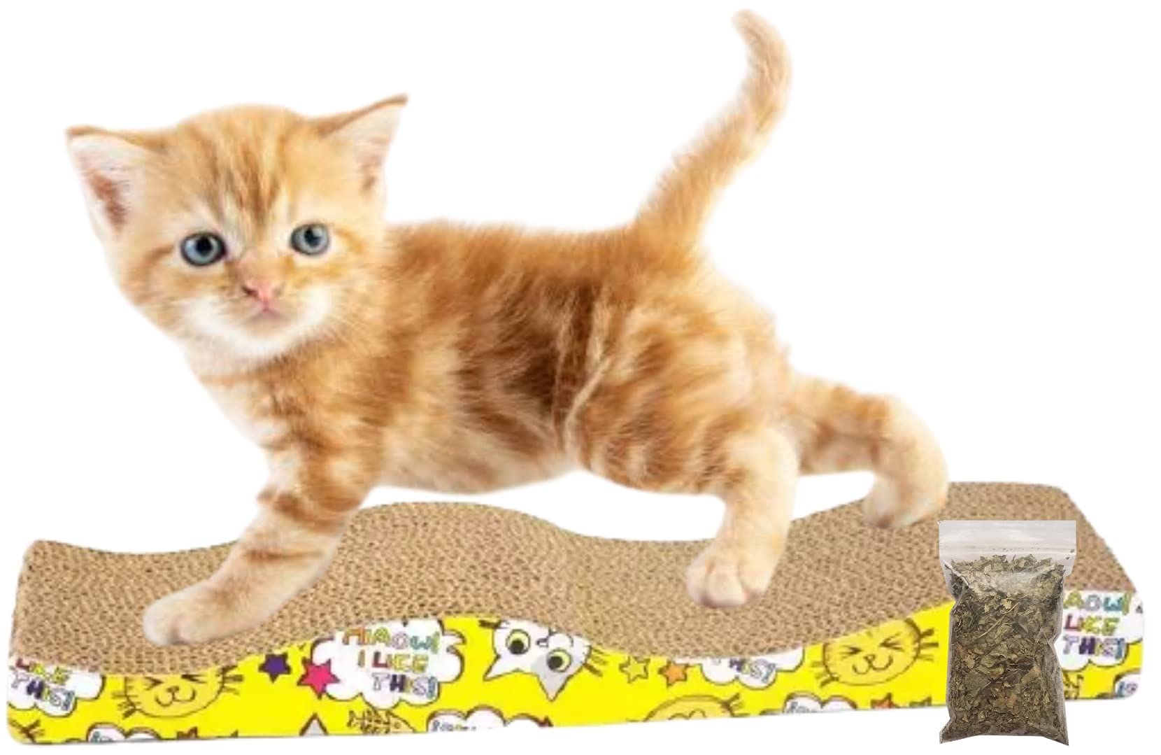 Petlicious & More® Cat Scratching Cardboard Scratcher (21cm X 45cm X 4cm) Curve Scratcher (Pack of One) (B09GS6BMV1) Amazon Price History, Amazon Price Tracker