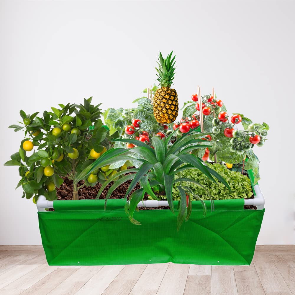 Sponsored Ad - ORGANIC BAZAR 72x36x12 Rectangular Grow Bag with Supporting PVC Pipes for Home & Terrace Garden, Premium HDPE 350 GSM Green Raised Plant Bag for Vegetables & Flowers (Green)