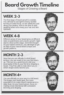 Beard Growth Timeline Poster Hair Salon Decor Poster (3) Canvas Painting for Living Room Bedroom Decor 08x12inch(20x30cm) Unframe-style