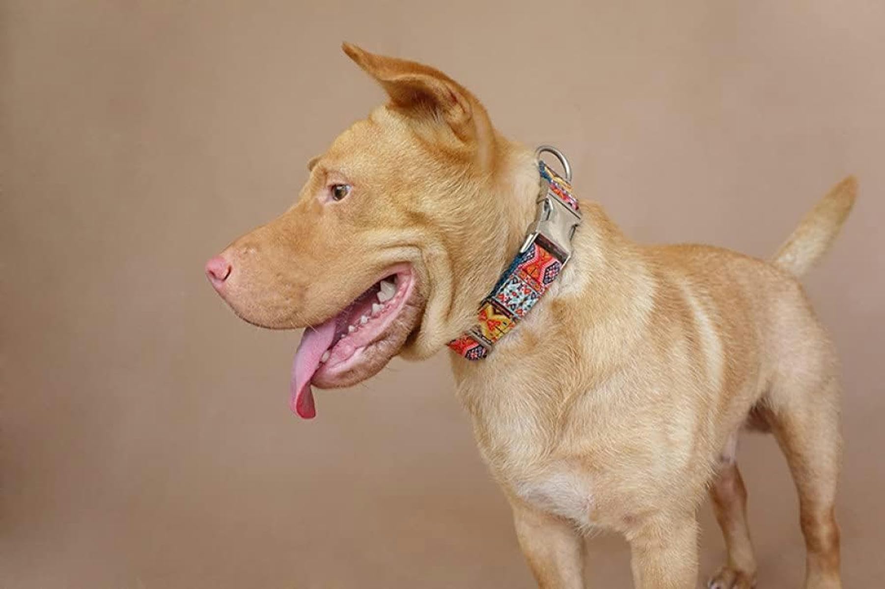 Hundehalsband mit Fliege, kreative Hundehalsbänder und Leinen im ethnischen Stil, 5 Größen-Hundehalsband-L