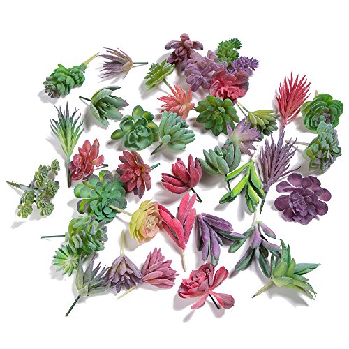 Khalee Artificial Succulent, Fake Mixed Succulents Man-Made Plants (12 PCS, Flocked Mixed)