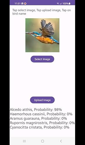 Bird Identification By Picture