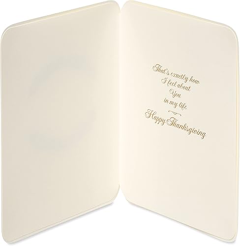 Miniatura 8 de Papyrus Tarjeta de Acción de Gracias (regalos de familiares y amigos)