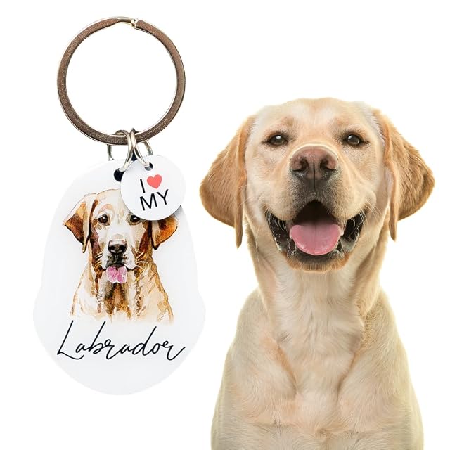 Splosh Llaveros personalizados para mascotas