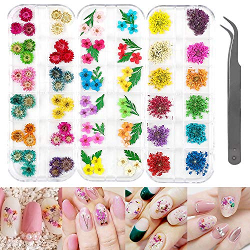 Limglim 120pcs Nail Dried Flowers 3d Nail Art Supplies Stickers Decoration Tips Manicure Decor Mixed Accessories For Nail Art Supplies Natural Real Dry Flower Kit With A Curved Tweezers 3 Boxes
