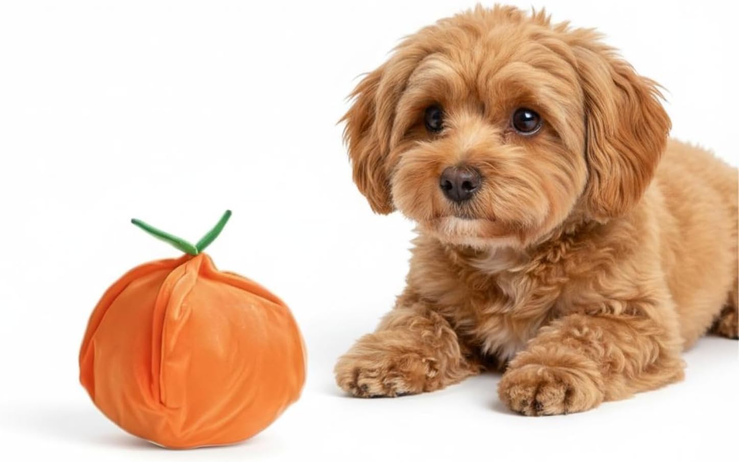 Interactive Dog Toy - Orange, Hide and Seek Plush, Squeaky Toy for Small Dogs, Puppy Puzzle for Boredom, Soft Chew, Iq Training