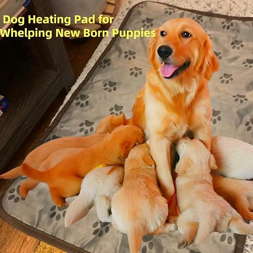 Miniatura 6 de Cama térmica para perros y alfombrilla térmica para perros, control digital, con temporizador, con impresión de flores y garras, apagado automático