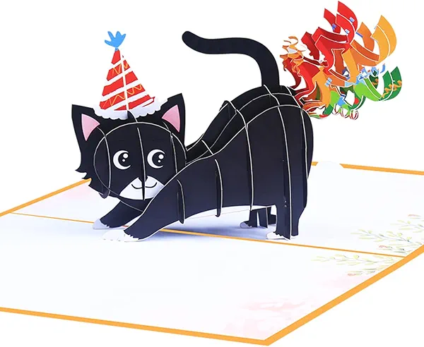 ROBBEAR Funny Cat Pop Up Birthday Card, Funny 3D Birthday Cards for Adults and Kids with Envelopes, Handmade Gifts for Cat Mom, Dad, Friend and Every Cat Lover