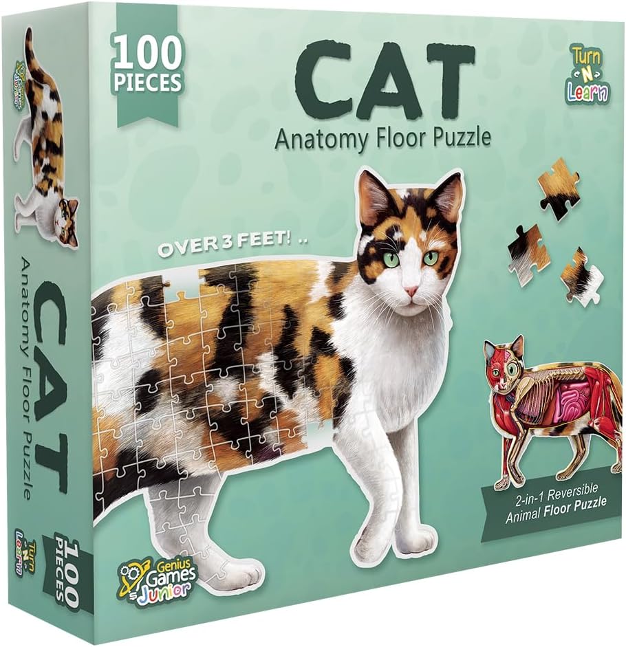 Cat Animal Anatomy Floor Puzzle | 100-Piece Double Sided Jigsaw Puzzle | Large Floor Puzzle for Kids Ages 4–8, 3–5, 8–10 | Fun and Educational Toy for Kids, Toddlers, and Families