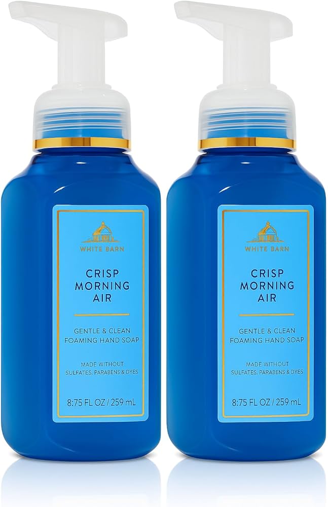 Amazon.com: Bath and Body Works Gentle & Clean Foaming Hand Soap