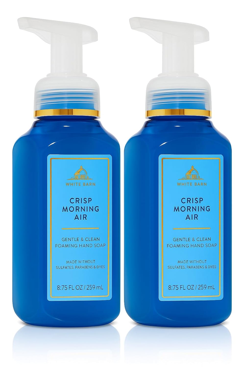 Bath and Body Works Gentle & Clean Foaming Hand Soap 8.75 Ounce 2-Pack (Crisp Morning Air)