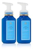 Bath and Body Works Gentle & Clean Foaming Hand Soap 8.75 Ounce 2-Pack (Crisp Morning Air)
