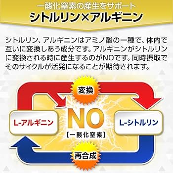 日本サプリメントフーズ SIZEUP α HARD MAX メンズサプリメント 30日分