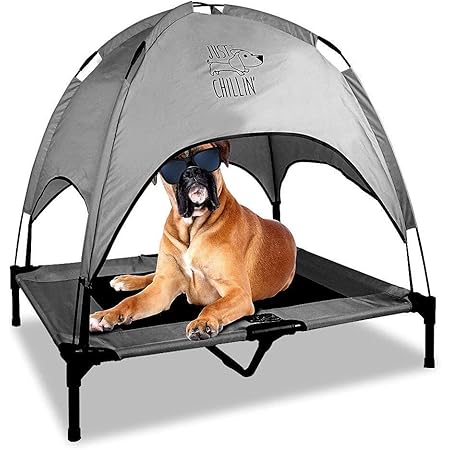 outdoor dog bed with canopy