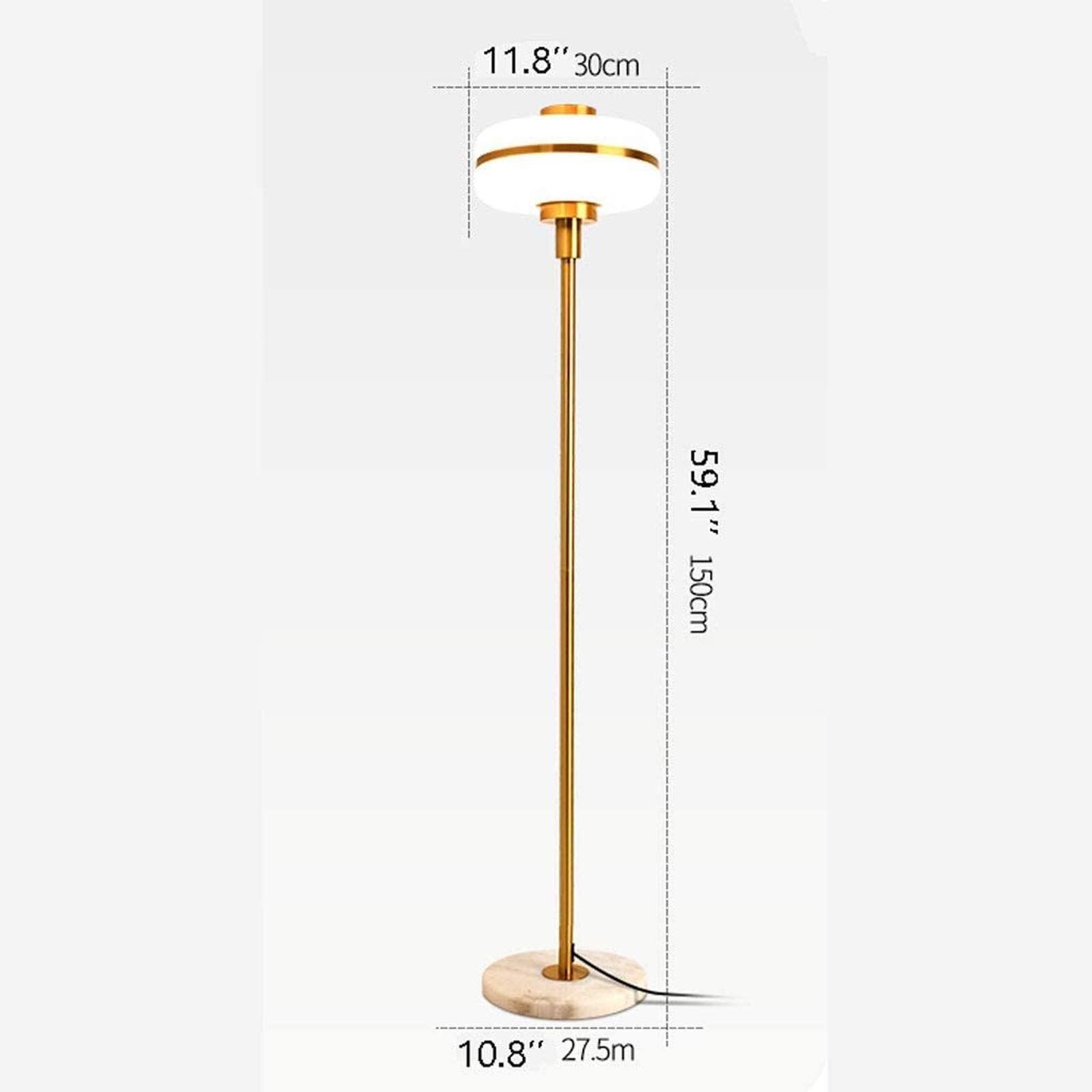 HASMI Piantana Lampada da Terra 59,1 "Lampada da Terra a LED in Metallo Contemporaneo for camere da Letto, Soggiorno, Ufficio, Lettura, Oro Lampada da Terra