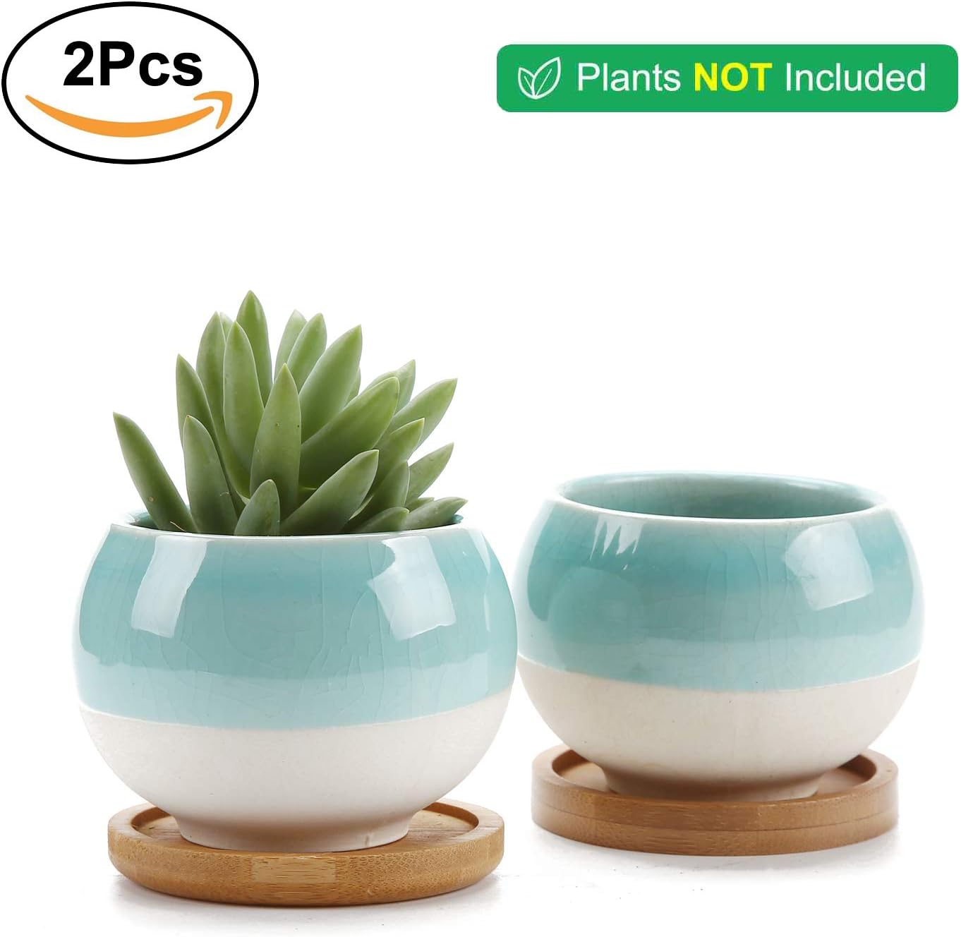 T4U 3 Inch Succulent Planters Pots Ceramic, Ball Shape Drainage Cactus Pots Window Boxes with Bamboo Tray Sky Blue, Set of 2