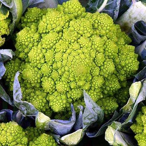 Organic Romanesco Broccoli Seed (B09GPBVK3S) Amazon Price History, Amazon Price Tracker