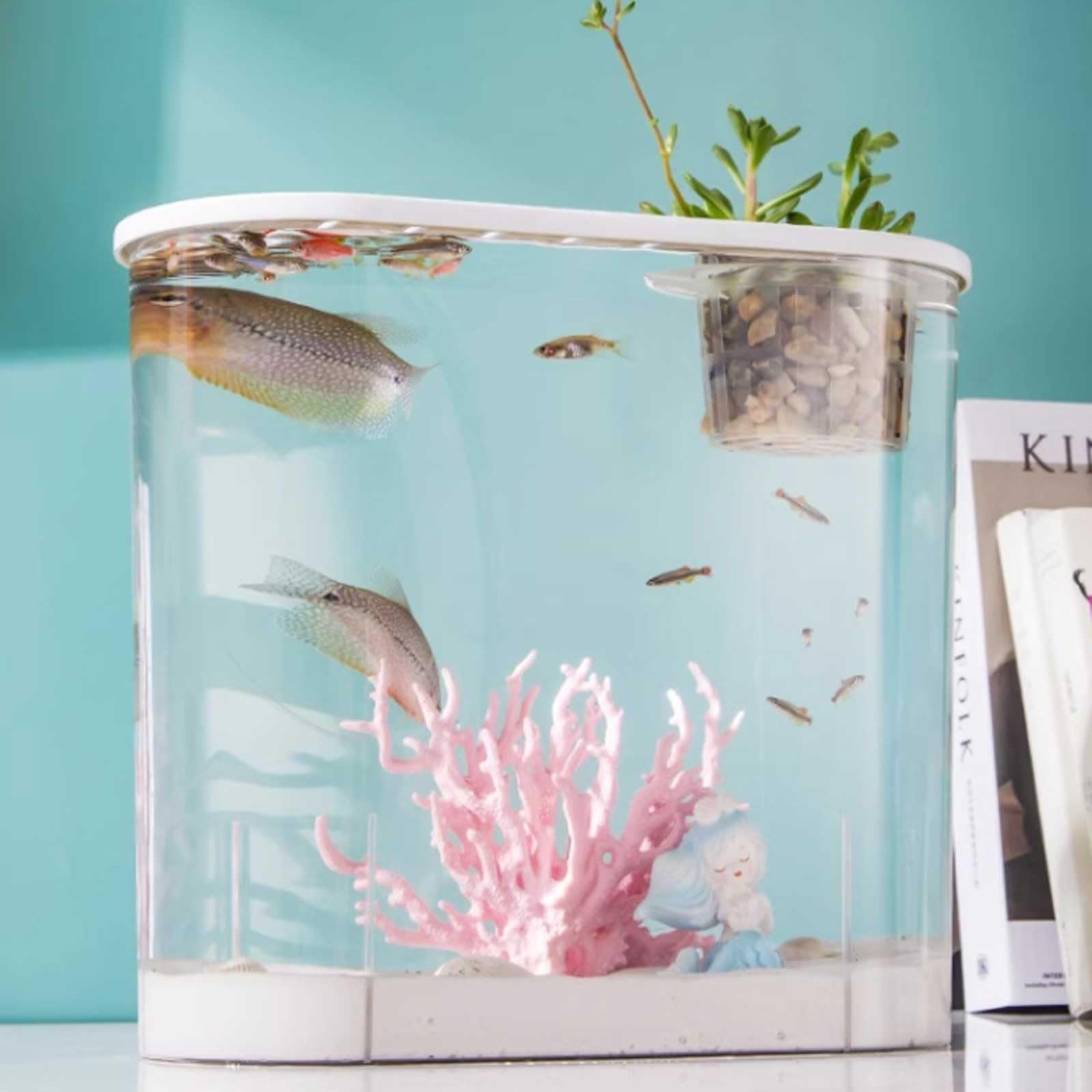Aquarium Deko Superklares Aquarium aus Acryl for den Schreibtisch mit atmungsaktivem Multifunktionsdeckel, transparentes Aquarium for die Zucht Kleiner Fische Mini Aquarium