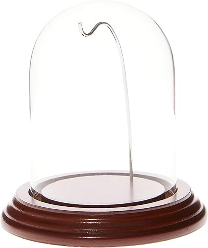 Miniatura 10 de Plymor vitrinas de cristal de exposición, con forma de campana, con alambre de latón, 3x4 pulgadas