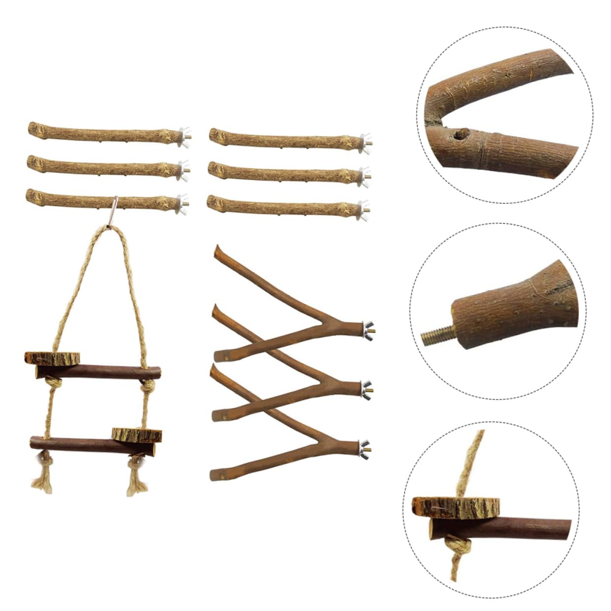 Angoily 20pezzi Stand Per Pappagalli Per Giochi e Allenamento Accessorio Per Gabbia Uccelli Random Facile Da Installare e Utilizzare Stimola Coordinazione e Abilità Di