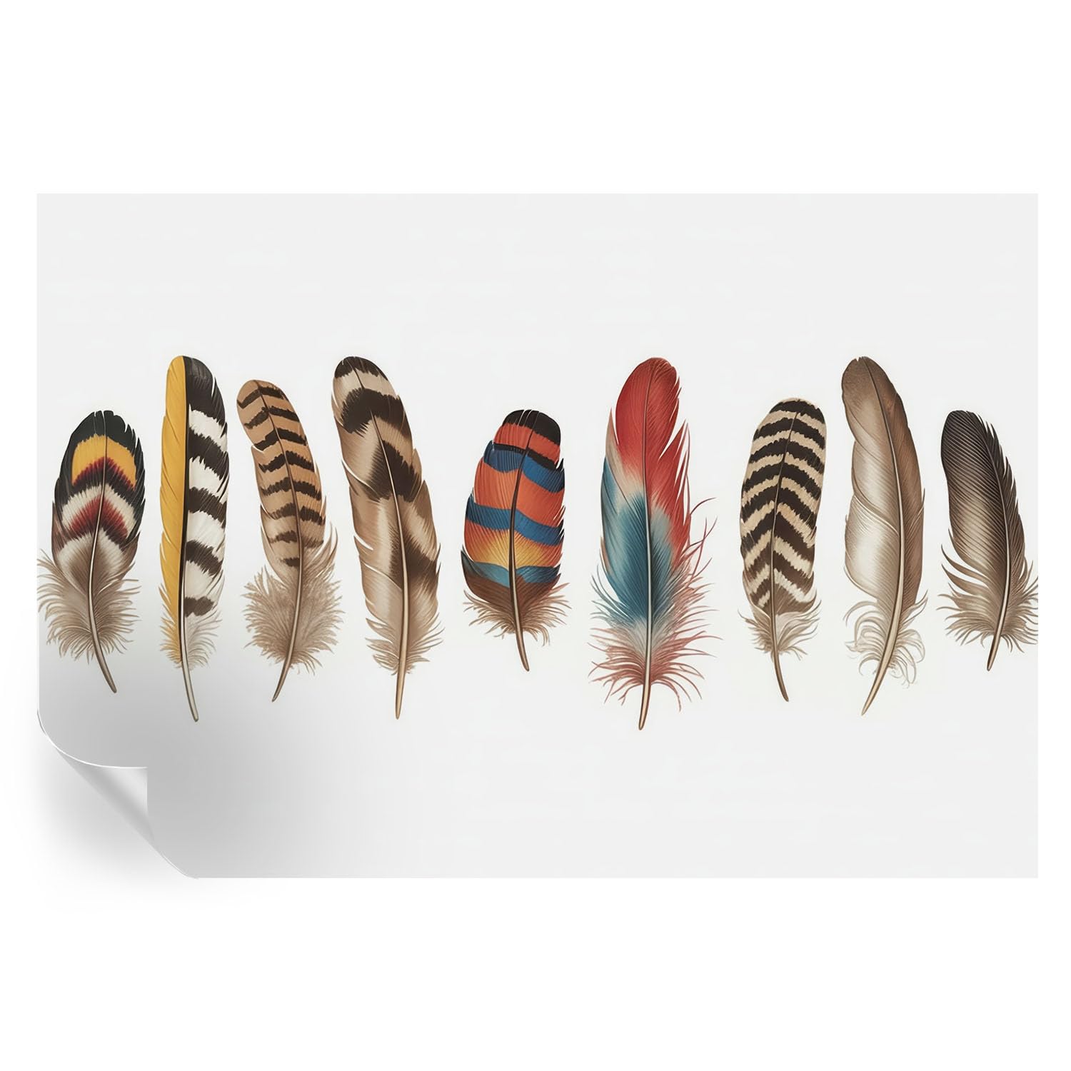 Revestimiento de pared decorativo 152x104 cm con diseño de plumas coloridas para salón