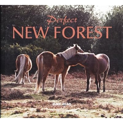 Perfect New Forest