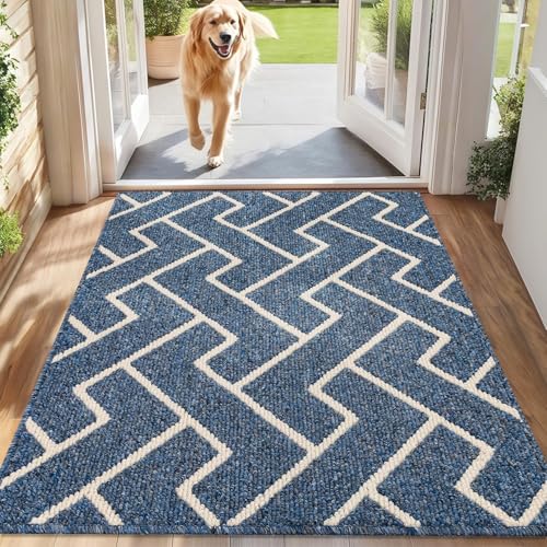 Biscpro Schmutzfangmatte 50x80 Fußmatte, Wasserdicht Schmutzabsorption Matte Fussmatte für Außen Innen Eingang, Garten, Teppich, küchenteppich