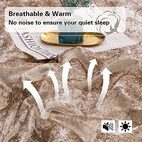 Yozen Champagne King Korean Velvet Comforter Set (104X90 Inch), 3 Pieces Luxury Textured Soft Comforter With 2 Pillowcases, Lightweight Microfiber Down Alternative Bedding Set For All Season #TOP1