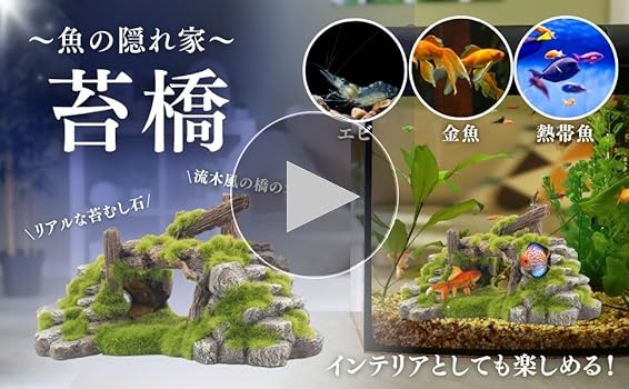 Amazon.co.jp: Archnote アクアリウム 水槽 オブジェ 置物 苔