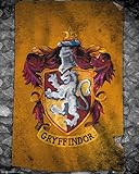 Licencia 100% oficial GB Eye LTD, Harry Potter, Gryffindor Flag, Mini Poster, 40 x 50 cm