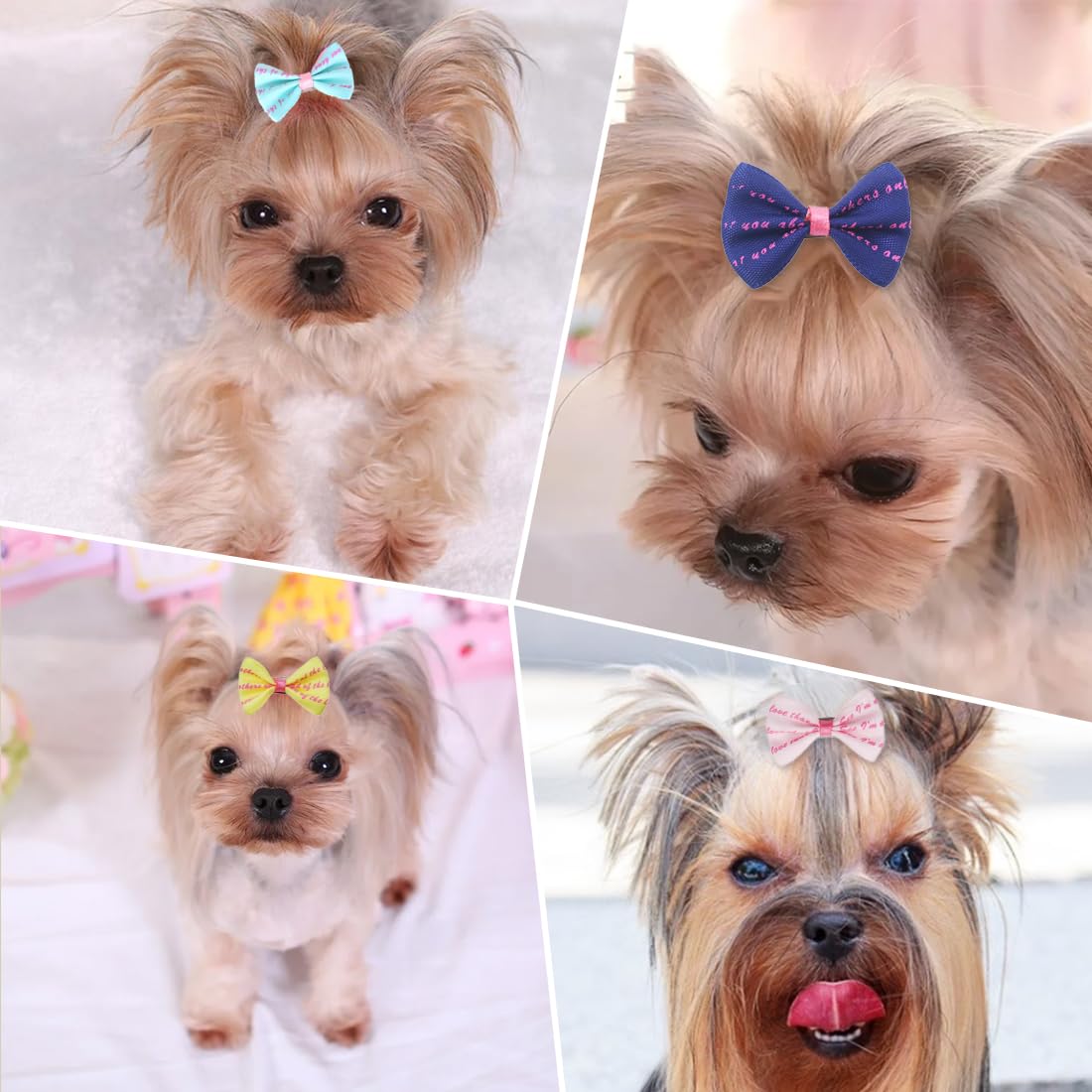 Set de 10 Noeuds à Cheveux pour Chien avec Clips, Barrettes et Accessoires de Toilettage