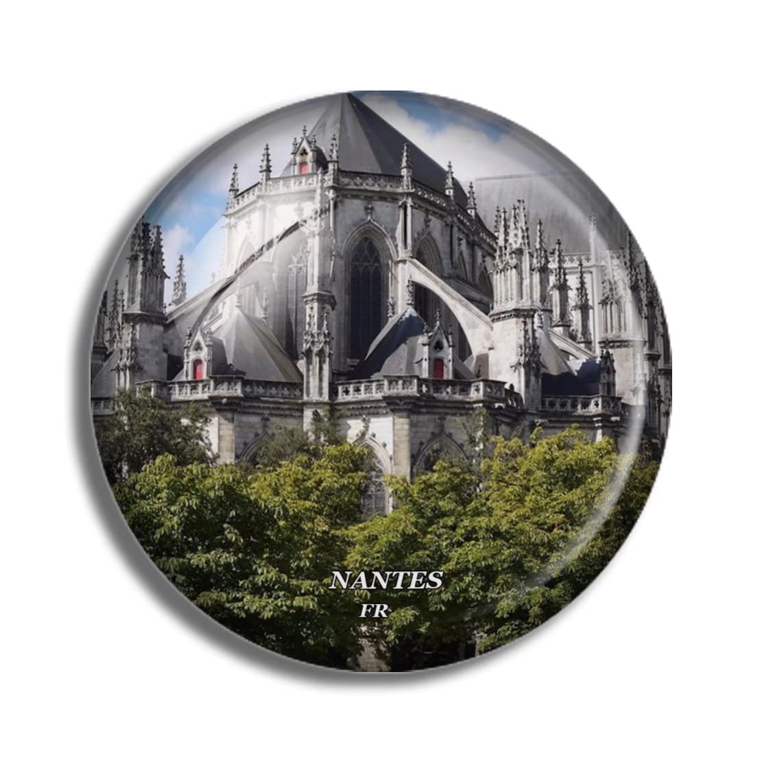 Qualsen Ianes De Cristal Para Nevera, 12 Unidades, Ianes Pequeños Para Nevera, Ianes Para