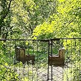 Прошлое лето