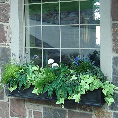 Mayne 5824B Fairfield Window Box, 5-Foot, Black #TOP3