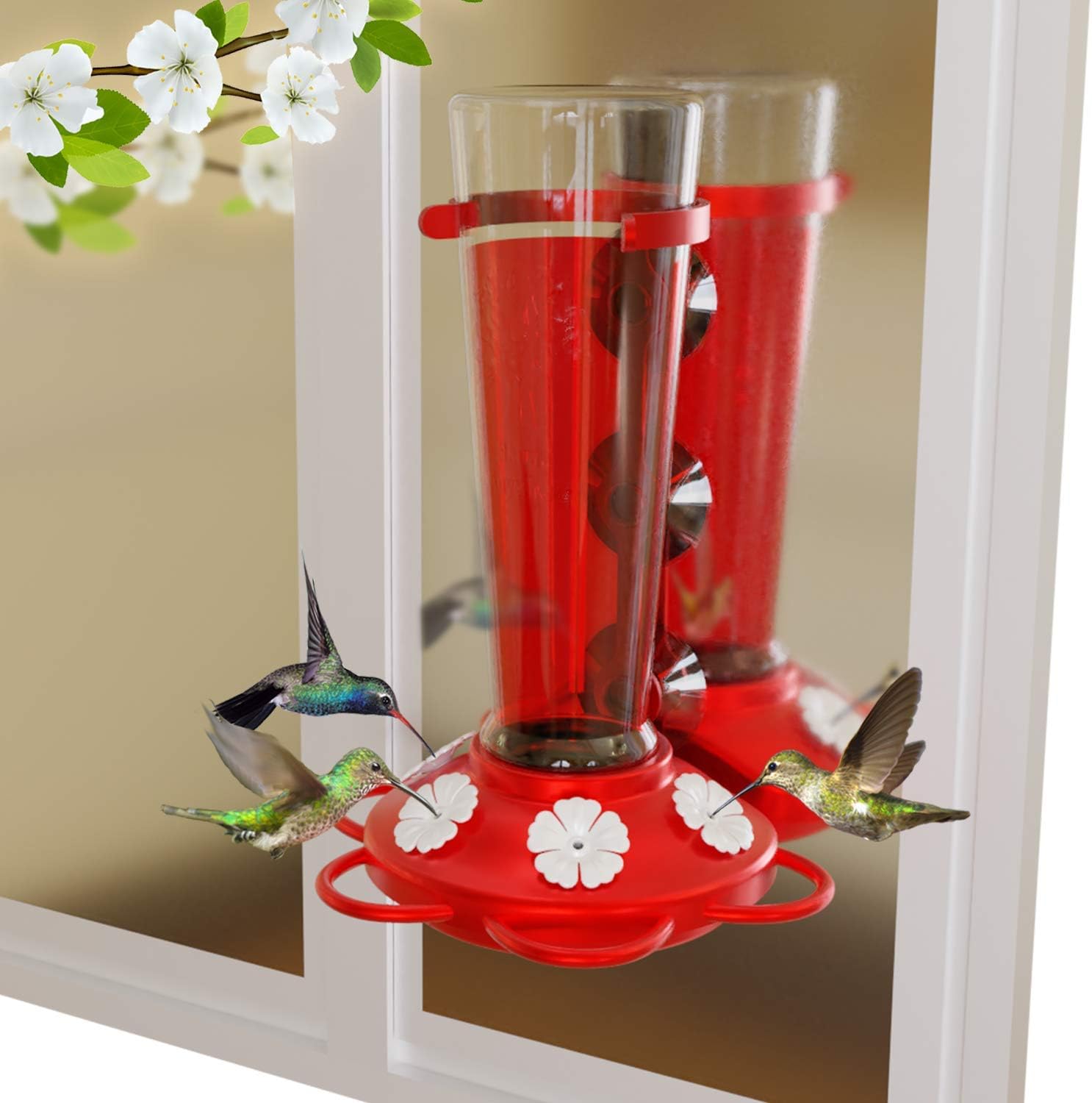 Hummingbird Window View Feeder Jewel Box Suction Cups Bird
