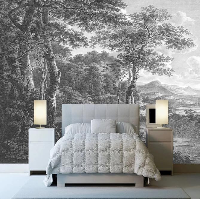 Papier peint photo rétro noir et blanc forêt arbre mural canapé 250CM