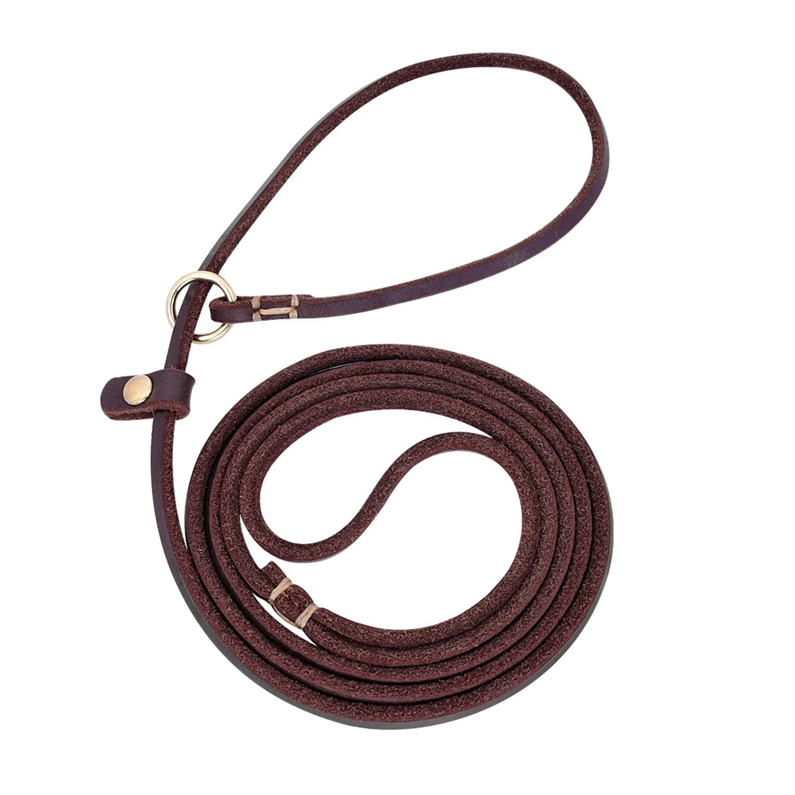 Collier coulissant en cuir et laisse pour petits chiens balades urbaines 155cm