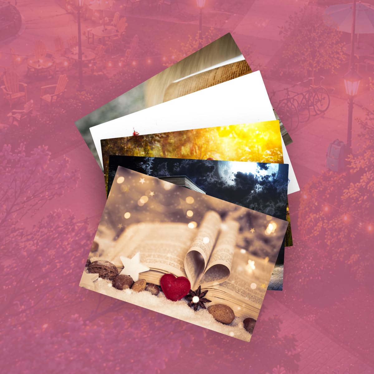 Die Off-Campus-Reihe Band 1-4 Special Edition + 1 exklusives Postkartenset