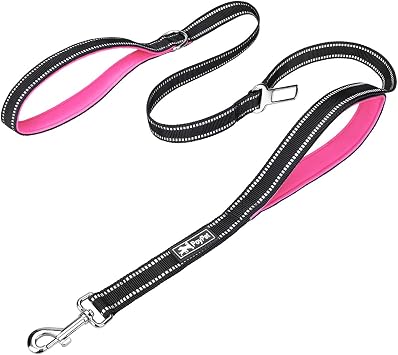PoyPet 5 Feet Dog Leash with 2 Cushioned Handles Pink