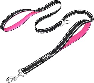 PoyPet 5 Feet Heavy Duty Dog Leash - Car Seat Belt - 2 Handles -Padded Traffic Grip for Extra Control(Pink)
