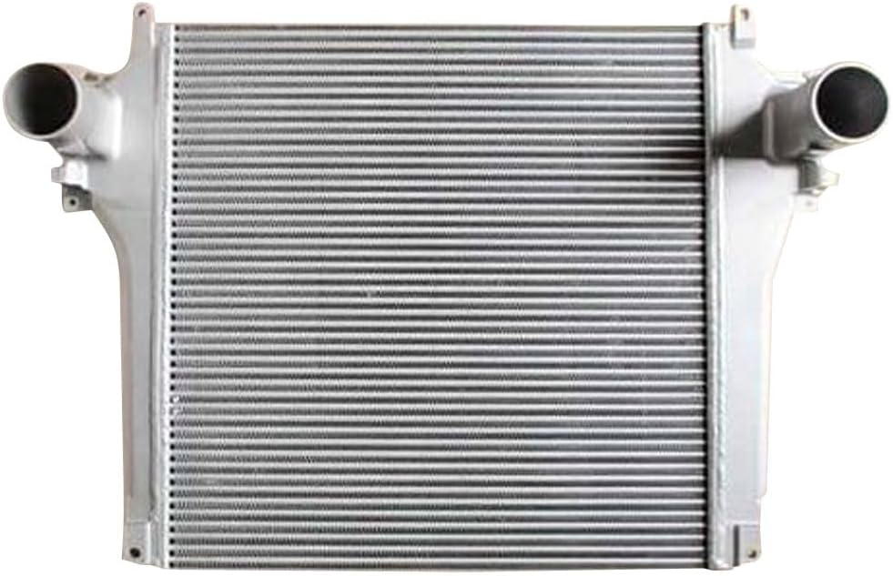 鴨 剥製 本物 壁掛け 限定値下❗カルガモの剥製 飛行型 翼幅 約70cm