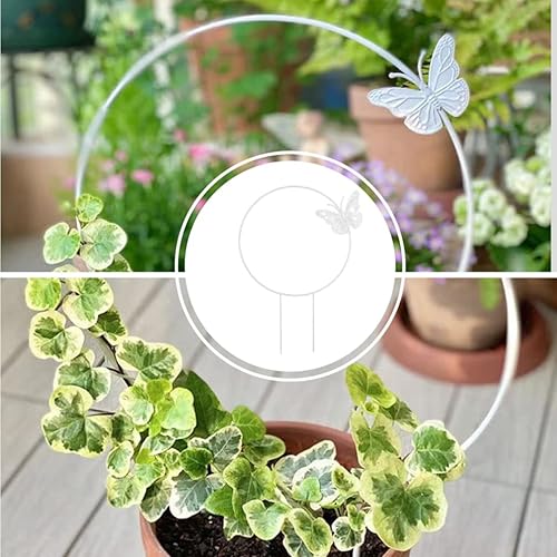 Miniatura 9 de LIOOBO 2 enrejados de metal para plantas de jardín, enrejado, círculo redondo, enrejado, soporte para plantas de vid para interiores y exteriores,